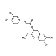 CAS:99353-00-1|Metilo rozmarinatas
